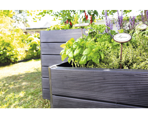 Jardinières surélevées en bois avec herbes et plantes dans le jardin.