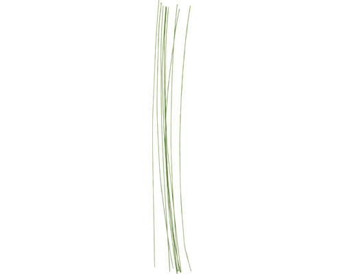 Fil de fer pour fleurs vert 30 cm, 0.6 mm 20 pièces Graminées