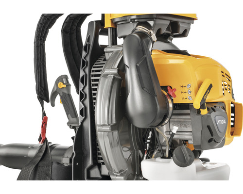 Souffleur de feuilles dorsal pour une utilisation dans le jardin