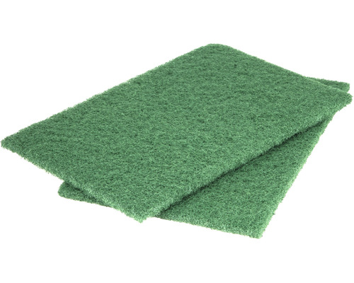 Deux tampons à récurer verts pour la maison