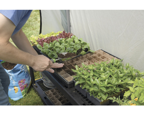 Une personne remplit des barquettes de semis de terre sur une table de culture dans une serre.