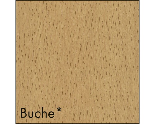 Texture de bois de hêtre