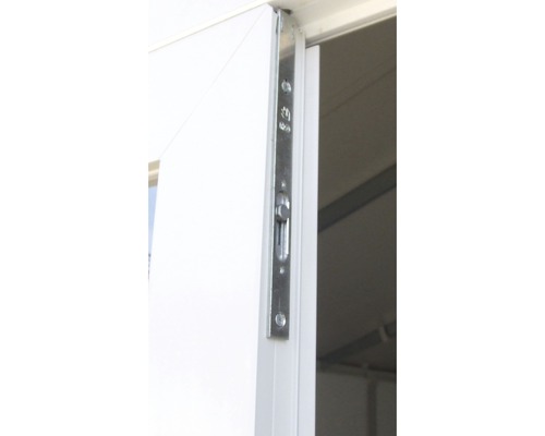 Vue détaillée d''une porte avec un verrou en métal pour plus de sécurité