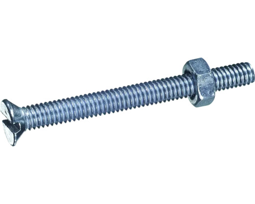 Vis à métaux à tête fendue avec écrou