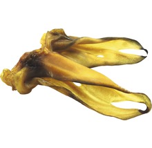 Hundeohren aus Rind für Hunde