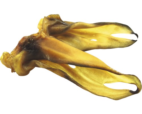 Oreilles de boeuf pour chiens