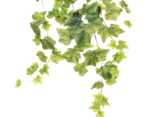 Lierre artificiel avec feuilles vertes