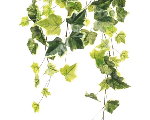 Lierre artificiel avec des feuilles vertes comme décoration