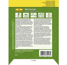 FloraSelf Rote Johannisbeertomate Saatguttüte