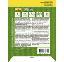 FloraSelf Italian Star sachet de graines de basilic