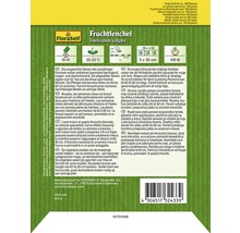 Verpackung Samen Fruchtfenchel