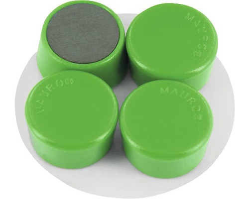 Vier Magnete mit Kunststoffgehäuse