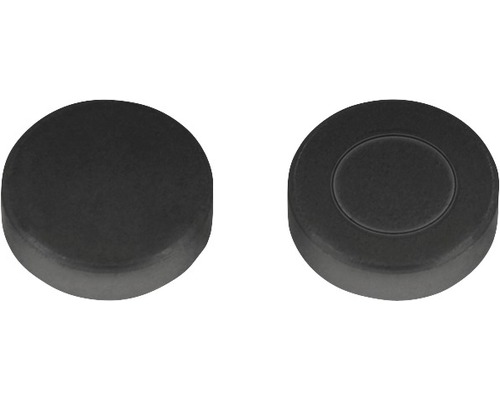 Deux bouchons ronds en plastique
