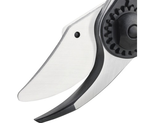 Gros plan sur un sécateur de jardin