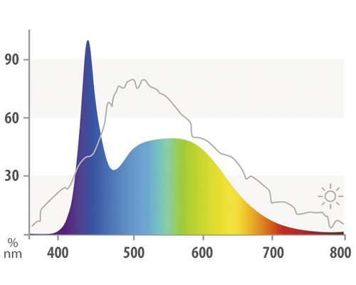 Diagramme du spectre lumineux avec longueurs d''onde en nanomètres