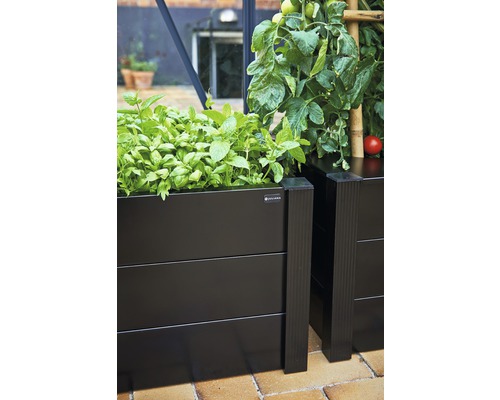 Beet mit Salat und Tomaten auf der Terrasse