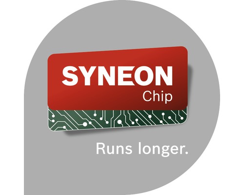 Logo Syneon Chip