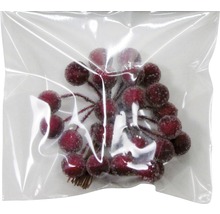 Dekorative Beeren in durchsichtiger Verpackung