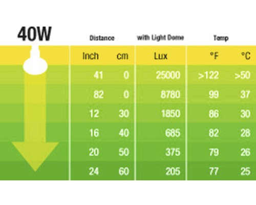 Tabelle mit den technischen Daten einer 40 Watt Lampe