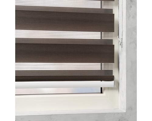 Fenster mit braun gestreiftem Doppelrollo