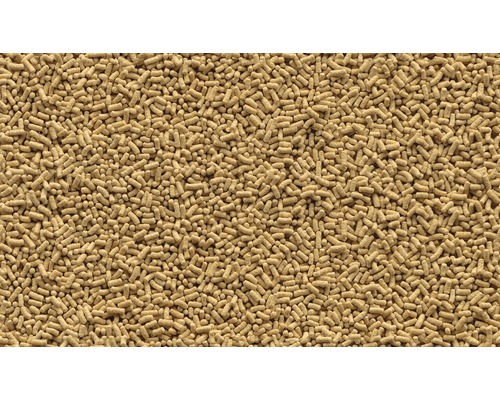 Levure sèche en détail