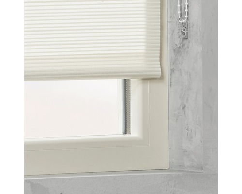 Plissee Rollo am Fenster zur Lichtregulierung