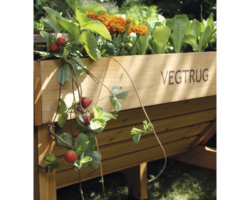Jardinière sur pieds en bois avec fraises, salade et soucis