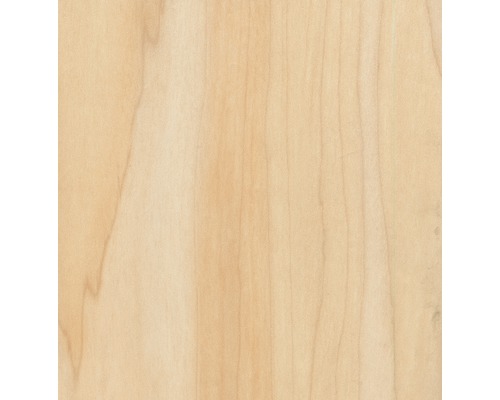 Detailansicht einer Holzoberfläche