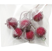 Baies rouges décoratives dans un sachet transparent