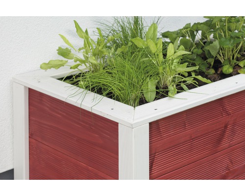 Jardinière surélevée en bois avec différentes plantes