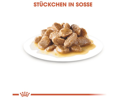 Katzenfutterstücke in Sosse auf einem Teller