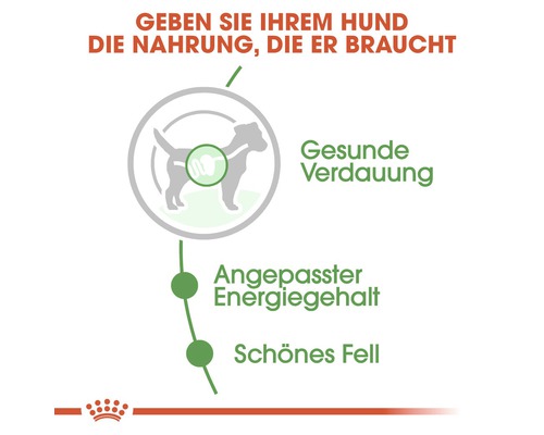 Infografik zu den Vorteilen von Hundefutter: Gesunde Verdauung, angepasster Energiegehalt, schönes Fell.