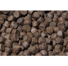 Gros plan de granulés pour poissons