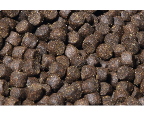 Gros plan de granulés pour poissons