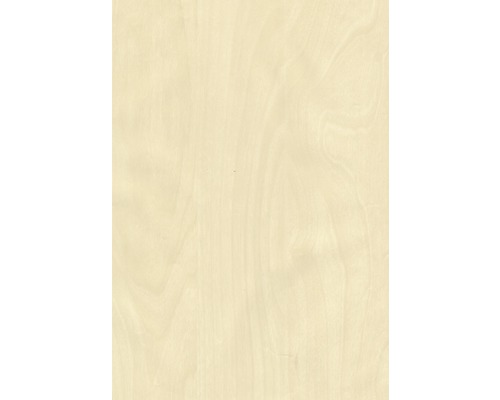 Gros plan d''une plaque de bois clair