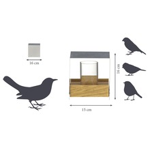 Vogelhaus mit Abmessungen 15 x 16 x 16 cm, aus Holz und Glas