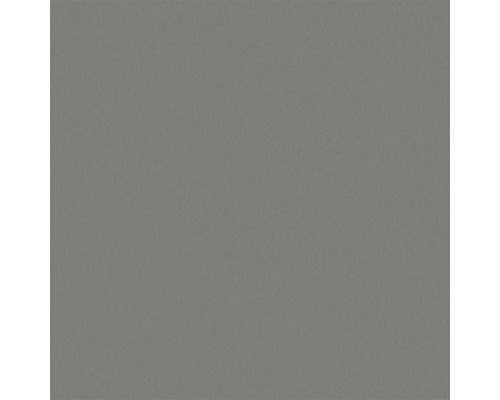 Panneau de particules de décoration Platinum 2800x2070x19 mm Surface grise