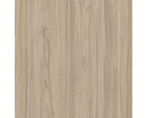 Panneau de particules de décoration orme nature 2800x2070x19 mm Gros plan sur la structure du bois