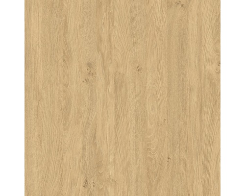 Panneau de particules de décoration chêne vert 2800x2070x19 mm Structure en bois pour la construction de meubles ou l''aménagement intérieur