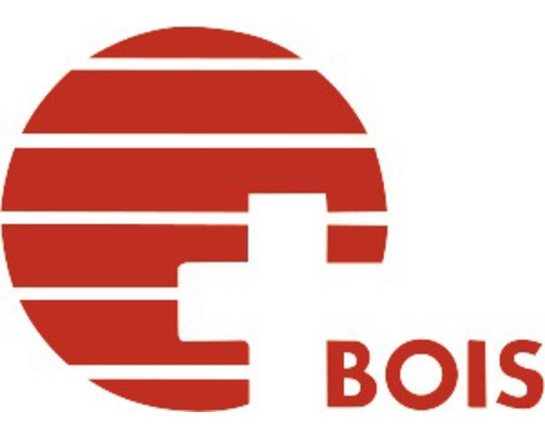 Logo BOIS