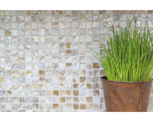 Carreaux de mosaïque carrés et plante en pot