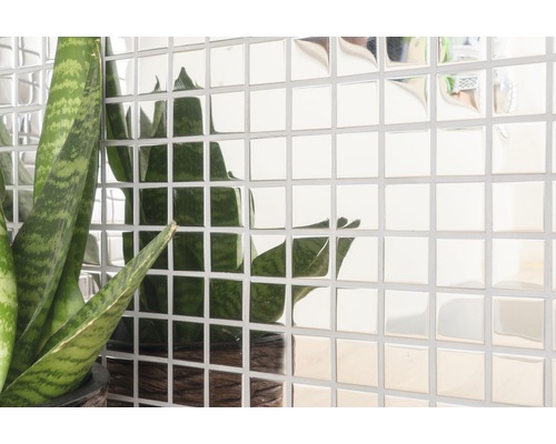 Carrelage mural avec effet miroir et plante d''intérieur