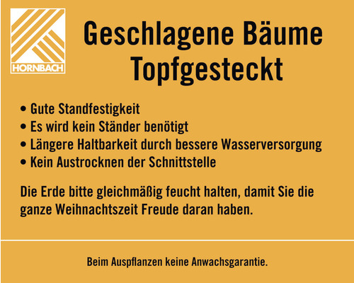 Informationen zu geschlagenen Bäumen im Topf von Hornbach