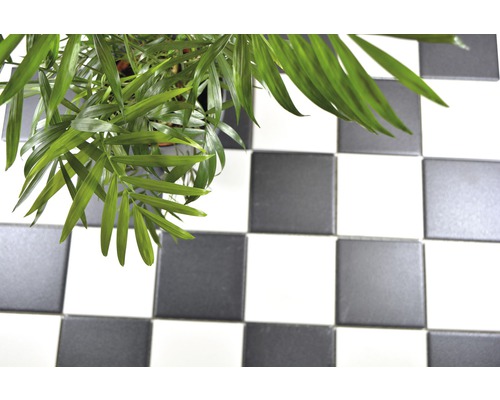 Zimmerpflanze auf Boden mit Schachbrettmuster