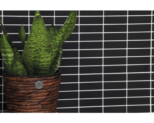Pflanze in einem geflochtenen Topf vor einer Wand aus rechteckigen Fliesen