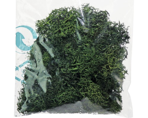 Verpackungseinheit Waldmoos zur Dekoration