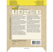 FloraSelf Bio Kürbis Curcubita maxima Samenpackung