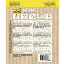 Verpackung Liebstöckel Saatgut mit Informationen zu Anbau und Pflege