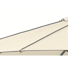 Vue détaillée d''un parasol