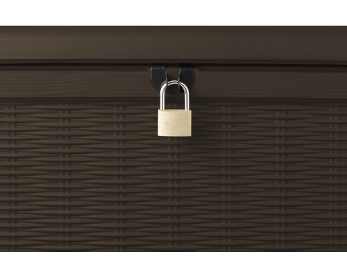 Detailaufnahme einer Gartenbox mit einem Vorhängeschloss zur Sicherung des Inhalts.